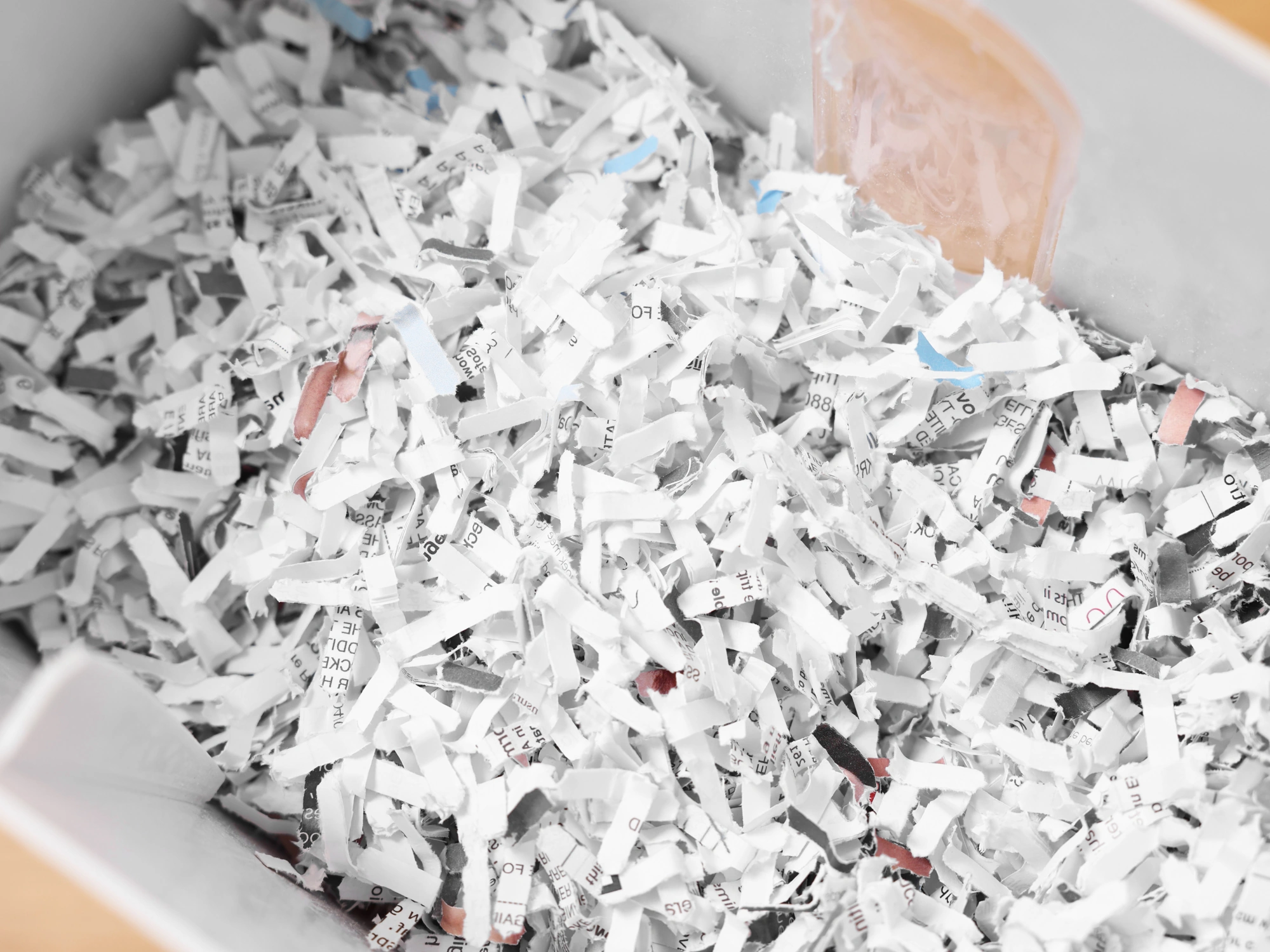Shredded office paper in a bin.