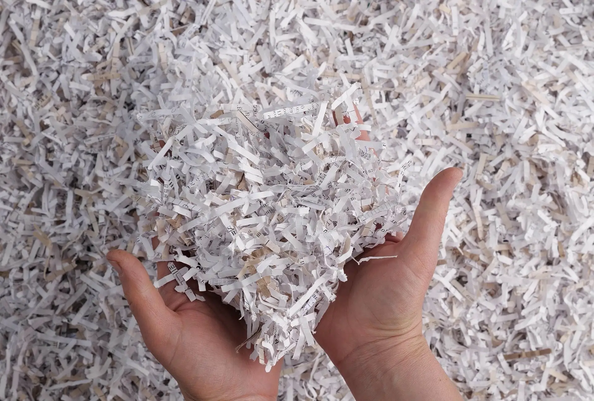 Hands holding a lot of shredded paper above even more shredded paper.