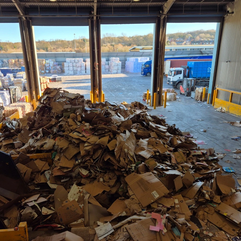 Large pile of mixed cardboard waste inside Riverdale Recycling’s facility, with baled materials and loading trucks visible in the yard outside.