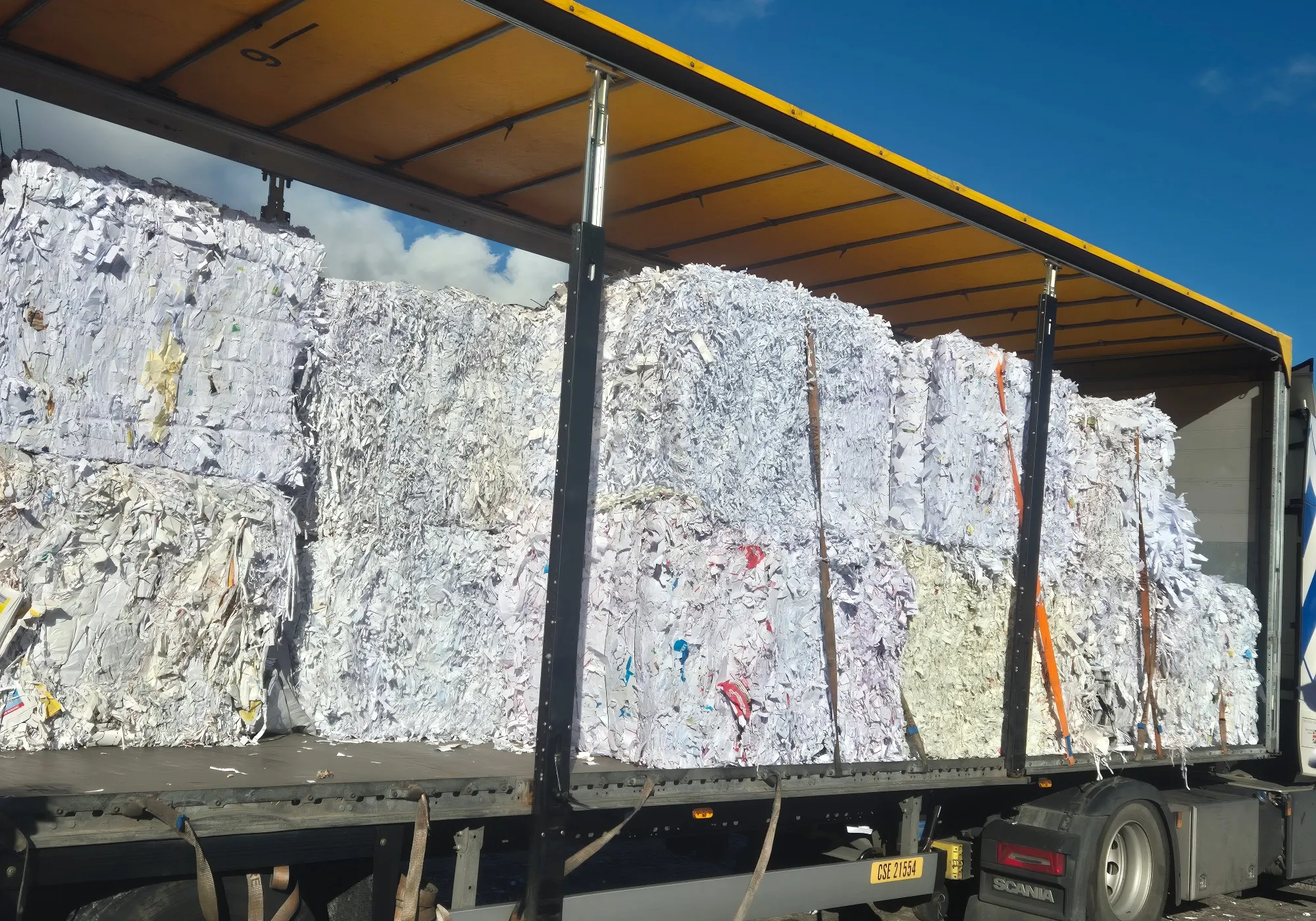 What is a waste audit? Our free service for businesses explained